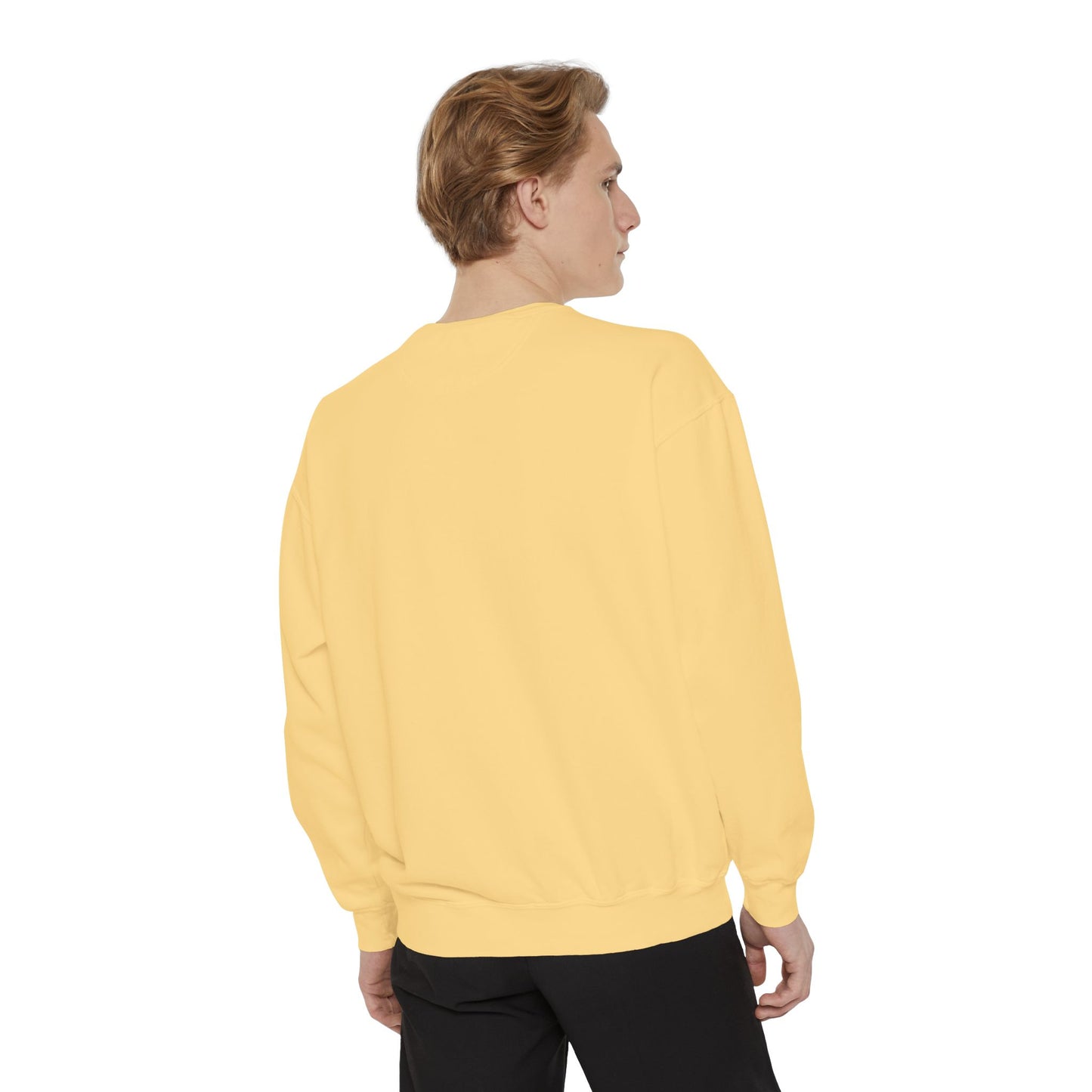 Casual Comfort Sweatshirt for Everyday Relaxation, Unisex Cozy Crewneck, Gift for Birthdays, Holidays, and Lounging